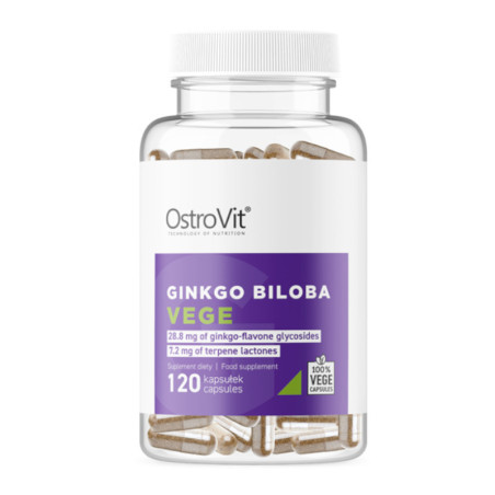 OstroVit Ginkgo Biloba Vege 120 kaps - Pamięć i Koncentracja
