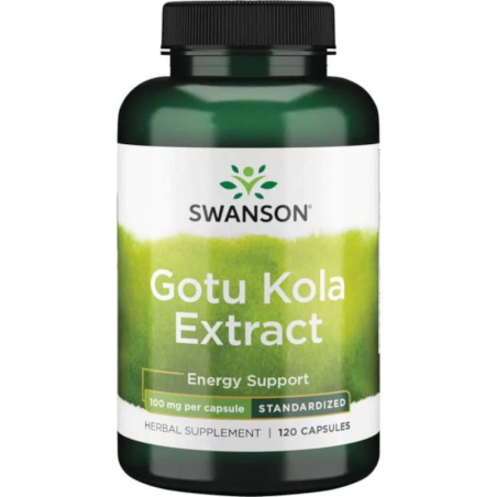 Swanson Gotu Kola Extract 100mg - Pamięć i Koncentracja