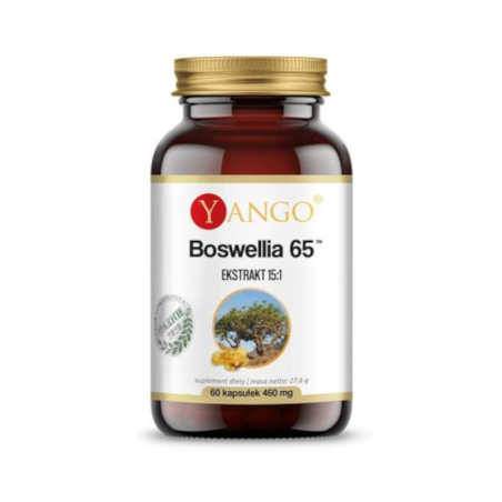 Yango Boswellia 65™ 60kaps - Regeneracja Stawów