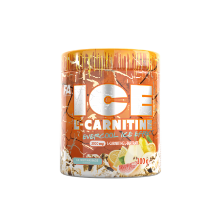 FA ICE L-Carnitine 300g - Spalacz Tłuszczu - biotechsklep.pl