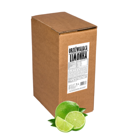 Sadvit Sok Limonka 100% 5L - Orzeźwiający i zdrowy sok z limonki