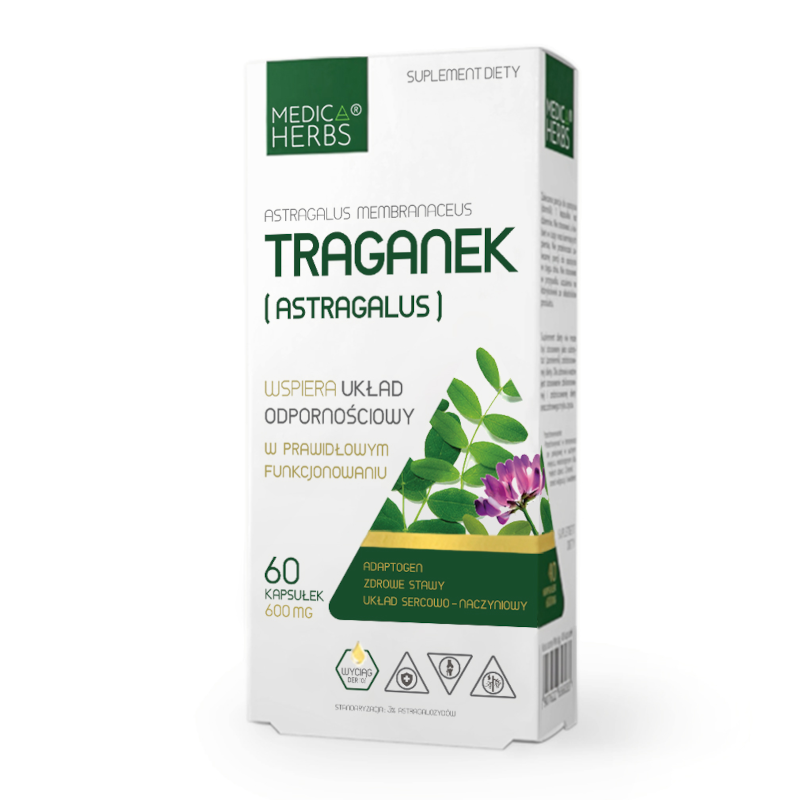 Medica Herbs Traganek (Astragalus) 60 kaps - Wsparcie Odporności