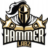 Hammer Labz